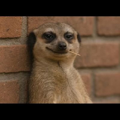 maiyoh460's profile picture. I'm still children °|° 

#ManUnited •|•
Manchester United •|•
#GGMU