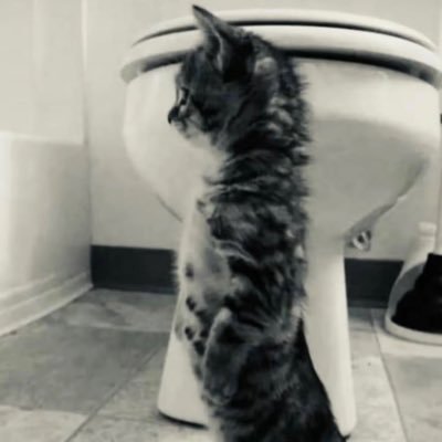 froskine96's profile picture. 