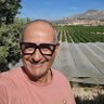 opcitex's profile picture. Antonio Pascual. Sharing knowledge about #citrus crops. open minds. open science. I enjoy the act of contributing. I'm an absolute beginner