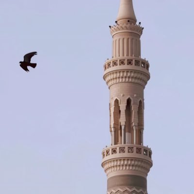 ولا تَحسَبنّ الله يغفِلُ ساعةً .. ولا أنّ ما يخفَى عليه يغِيبُ | يُفكّر ويتأمّل | 🏜️