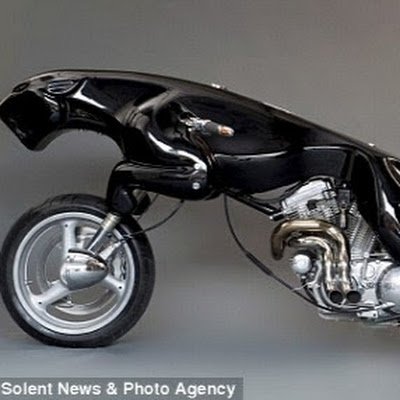 RayugaZinga96's profile picture. 