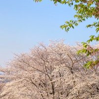 くも☁️3y1y (@shippaiorseikou) Twitter profile photo