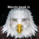 _harryjones's profile picture. 