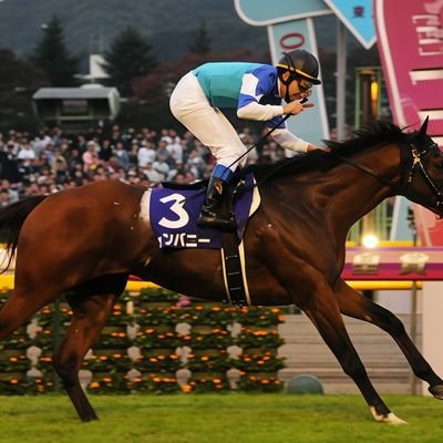 30代後半…働き盛りの競馬民・トレーナー/【推し】ポッケ・ブエナ・ビリーヴ・クロノ・アルヴ(🆕)、藤本侑里さんを応援✨/繁忙期は低浮上💦
https://t.co/iIZQpRBrkt
