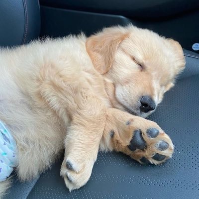 mhew_pnp's profile picture. Lingling Kwong | Orm Kornnaphat 💜🤍