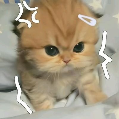 FANG_Fang55's profile picture. 
