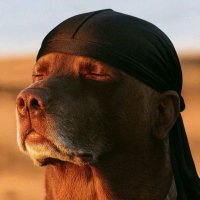 NotAChillGuy (@hookah_doncic69) 's Twitter Profile
