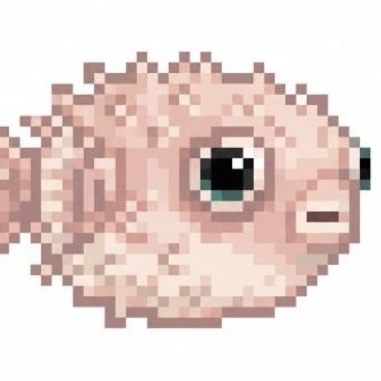 mintiahoffer's profile picture. 