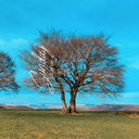 Alex Czerwinski - @Ale_xace58 - Twitter