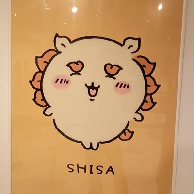 antokino_study's profile picture. 高2 | 大阪 | 文系 | 日倫 | 阪大文学部志望