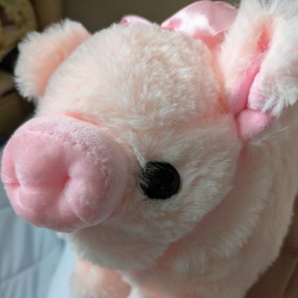 manatas0_tas0's profile picture. SKE48大好き!!解散しても一生ぷりまちゃんず♡