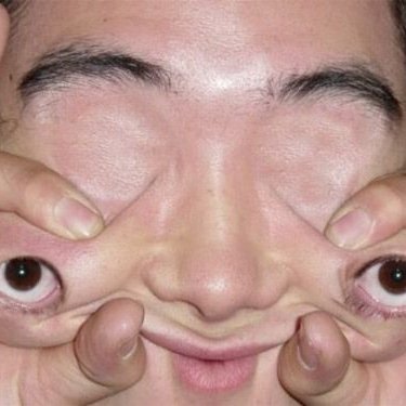 Rossco184's profile picture. 