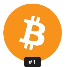 Squreshi1Sally's profile picture. Business man and a crypto investor