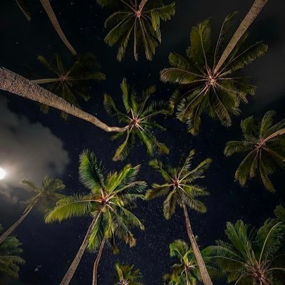 xxqq_112's profile picture. 