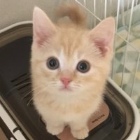 ゆりまる (@yurimaru2228) 's Twitter Profile Photo