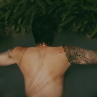 doragon_kokuryu's profile picture. 車と刺青、tattoo ホラー 心霊好き