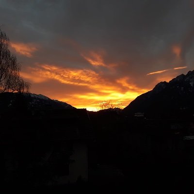 Bernd_tirol's profile picture. opinion can be but mustn’t be true