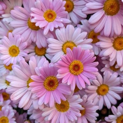 Xx2hj6's profile picture. 