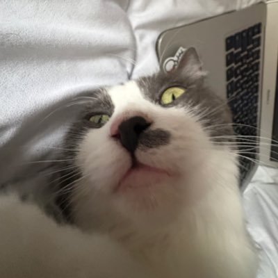 alilastreetprv's profile picture. @alilastreet mais version prv