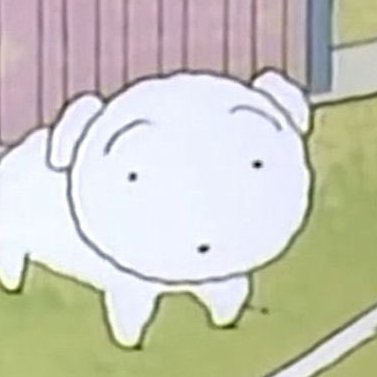 돌곰さんのプロフィール画像