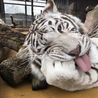 Deforest0224's profile picture. boyfriend monitors my account,,,
∟ adults, 

(i follow for your art/rts !! cn x dd)