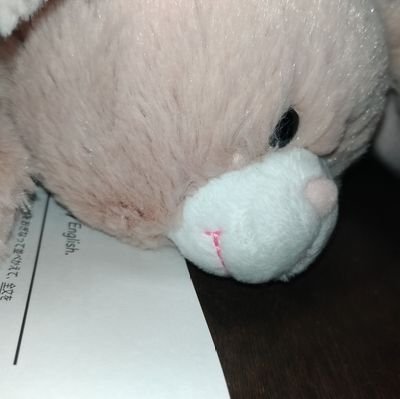 こはさんのプロフィール画像