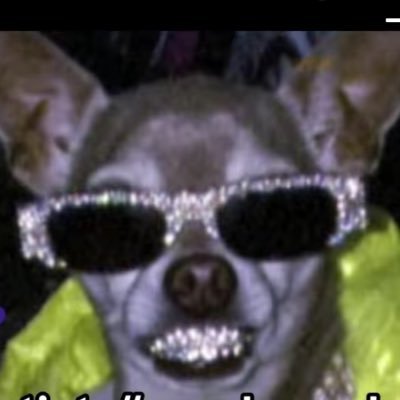FrickinPaul's profile picture. 