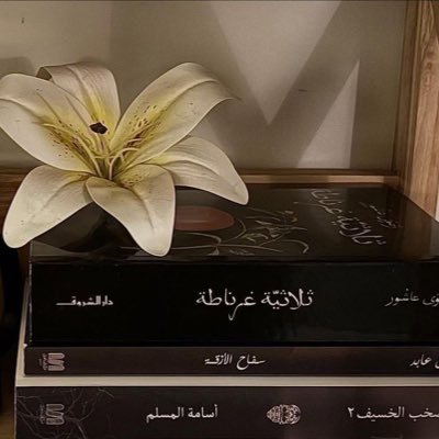 @11lo333