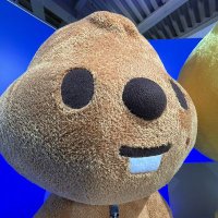 °。 Yuyux 。° (@hifuuki) 's Twitter Profile Photo °。 Yuyux 。° (@hifuuki) 's Twitter Profile Photo
