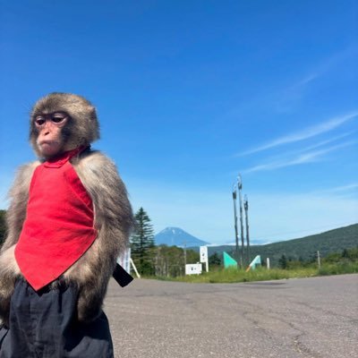 Gin_o_bg's profile picture. 