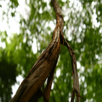 MiaWilliam54094's profile picture. Working In Educational Technology. My versatile nature drives me to pursue web design, videography, soccer in my free time.