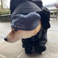 k (@wannastay_u) 's Twitter Profile