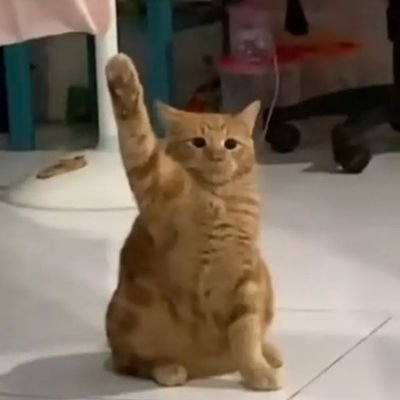@MartinaP38406