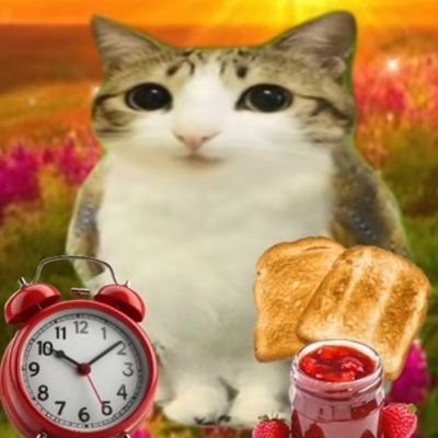 🍠🪀🐱💙🪼🍬🌙🍣