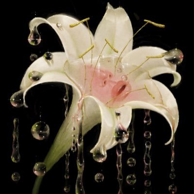 maidinnn's profile picture. Taurus