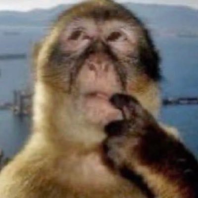 careerinsad's profile picture. 