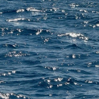 adwilll's profile picture. 