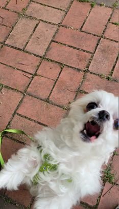 maengmul35's profile picture. 