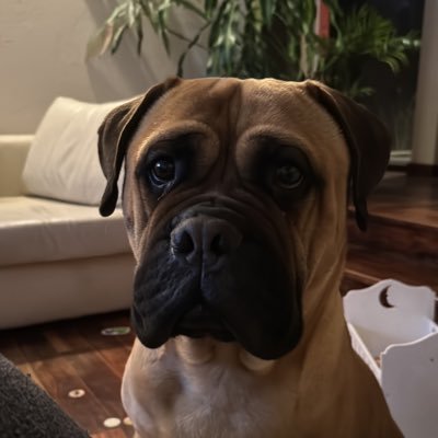 WDtape's profile picture. Rumbo a la libertad financiera 🇦🇷