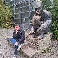 Robert (@robert43531590) 's Twitter Profile Photo Robert (@robert43531590) 's Twitter Profile Photo
