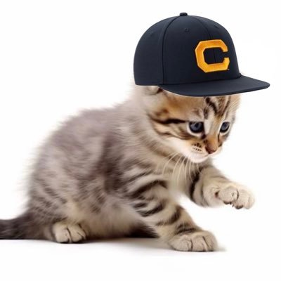 California_Mary's profile picture. thank you mary 🐻