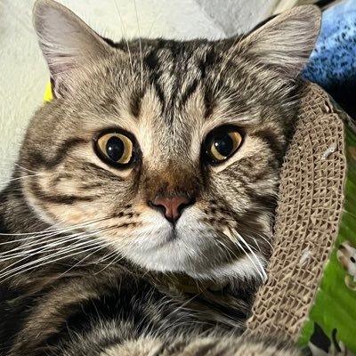 infernoy27's profile picture. พี่สาวน้องธี🤏🏻 #tee_vtp #ธีรเดช #dewtee #ดิวธี