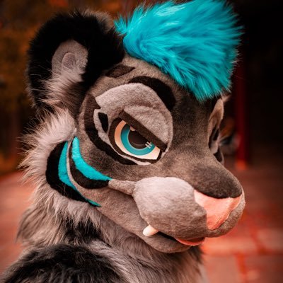 A crazy Tiger/Wolf from Germany, car Enthusiast, love Sport, spezialy MTB/Downhill, running and Snowboarding ! My big love is @CaidaTigre ❤️❤️. PM Friendly