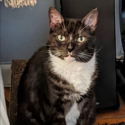 MaryPiersall's profile picture. 