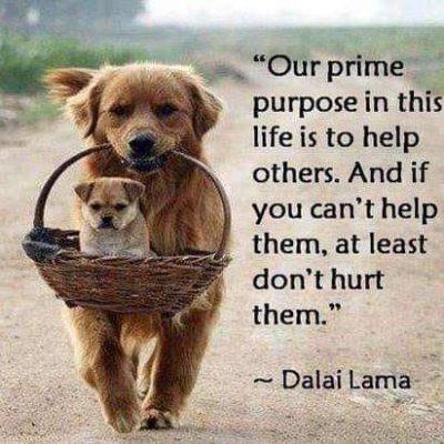 Don't neglect to love those around you, for God never stopped loving you.