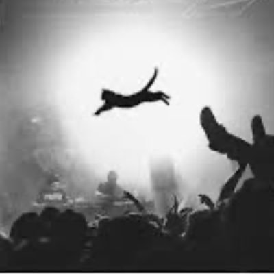 BSheeetz's profile picture. 2-3 zone