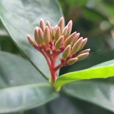 kwlhlqwe's profile picture. Queen of my own world.