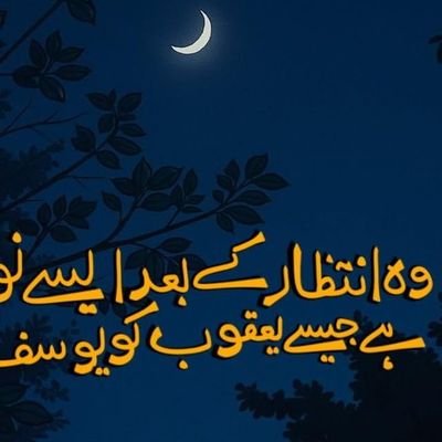 Working for peaceful 🌍 and living in peaceful country🇵🇰
Care for humanity and other creatures