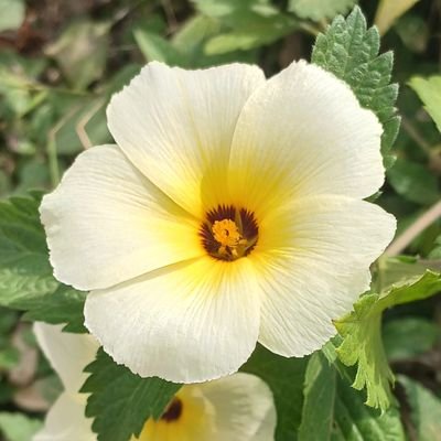 Leaps0's profile picture. 