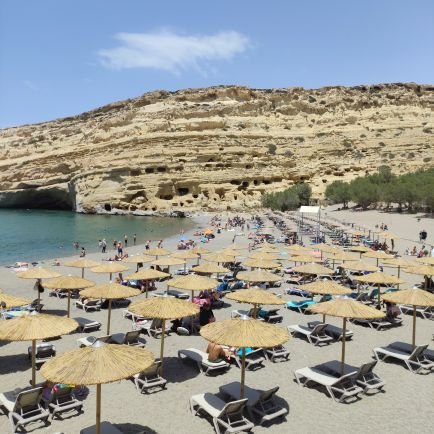 RolfElu's profile picture. 